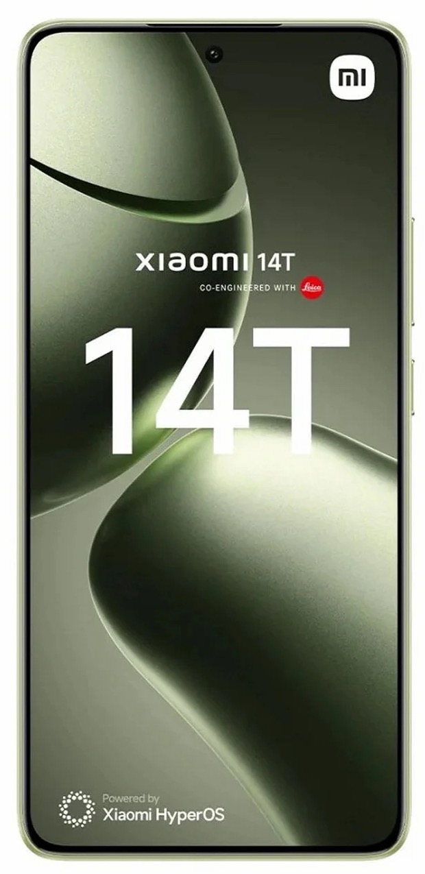 14T 