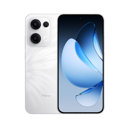 Reno 13 Pro 5G (CPH2697/PKK110)
