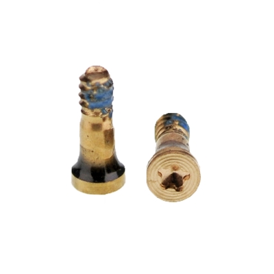 Apple iPhone 6G/iPhone 6 Plus/iPhone 6S/iPhone 5S/iPhone 6S Plus/iPhone SE/iPhone 7/iPhone 7 Plus Screw set 2pcs  Gold